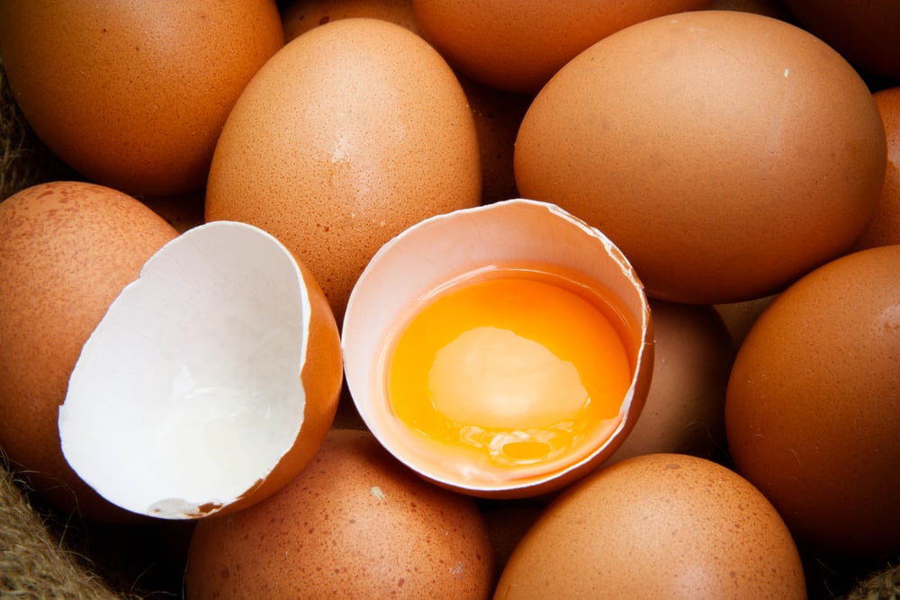 broken chicken eggs